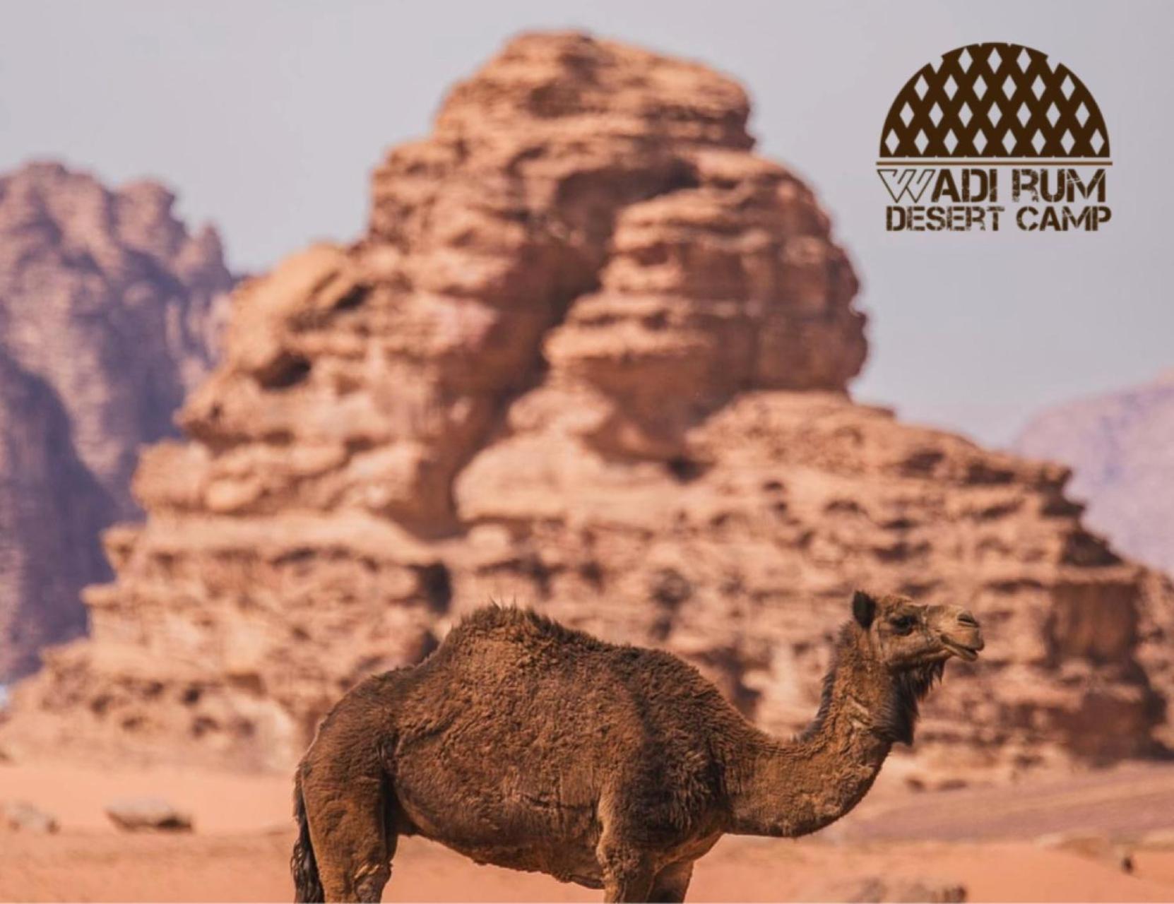 Rum Mere Luxury Camp Wadi Rum Buitenkant foto